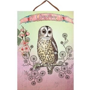 NEW Owl Dreamer Panel Print Wall Art Hanging Decor